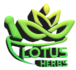 lotus-herbs.com